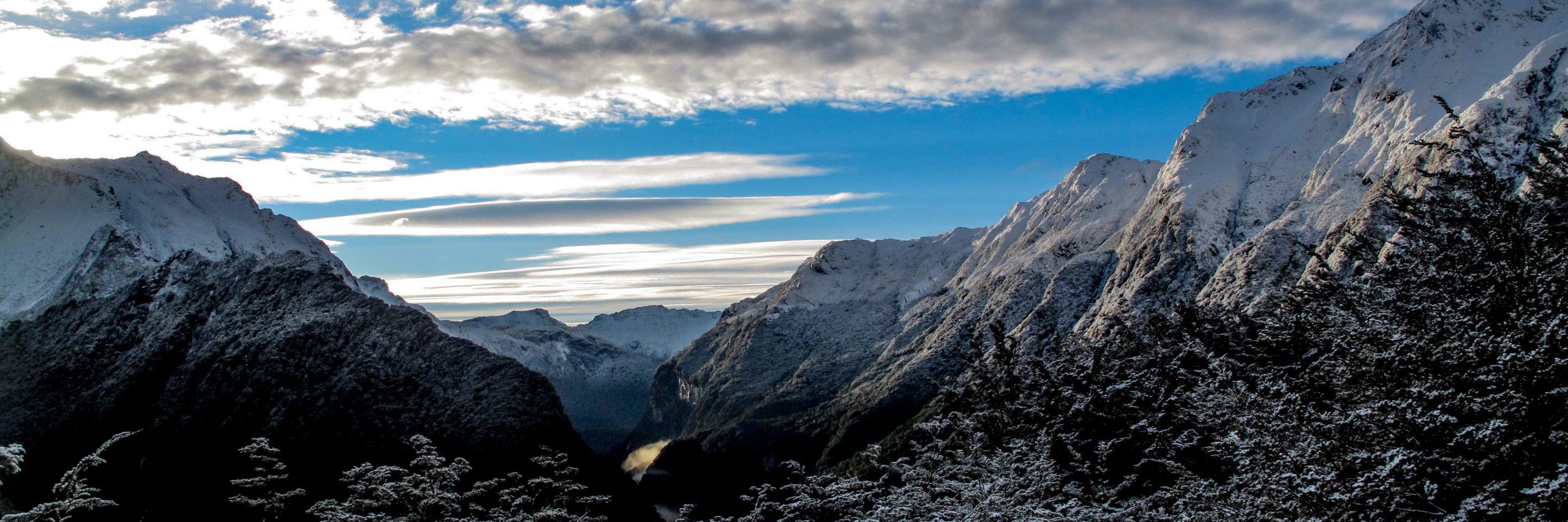 Amelia's Online Journal